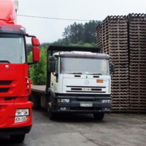 Foto de Maderas Orue. Fabricantes de palets de madera en Zeberio - Imagen 3