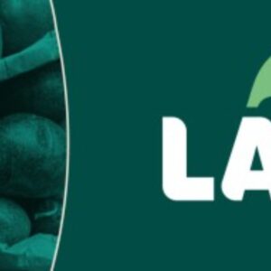 Foto de Patatas Lazaro en Puçol - Imagen 2