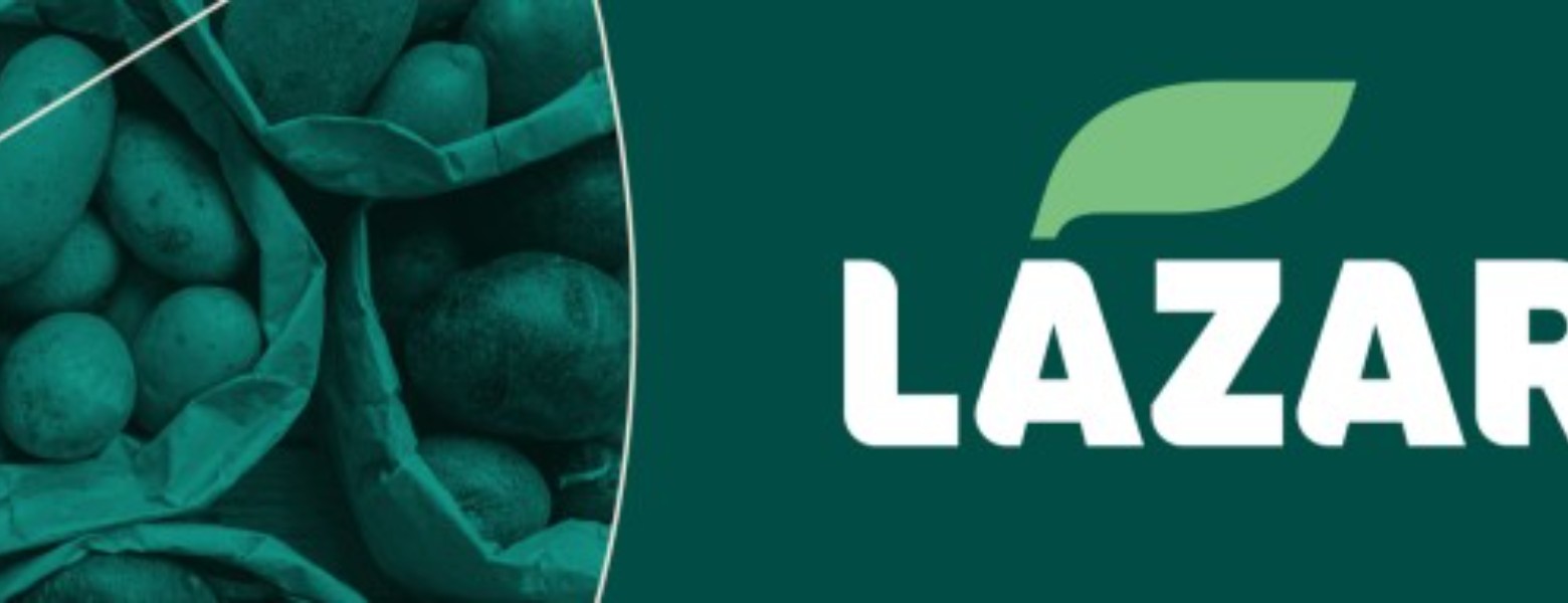 Foto de Patatas Lazaro en Puçol - Imagen 2