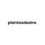 Plantas de aire - Floristeria en Gijón