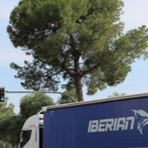 Foto de Transportes Iberian en Dos Hermanas - Imagen 4