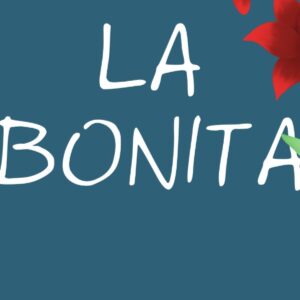 Foto de Librería La Bonita en Madrid - Imagen 5
