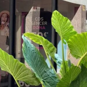 Foto de SinVello! El Vendrell | Depilación Láser Diodo en El Vendrell - Imagen 1
