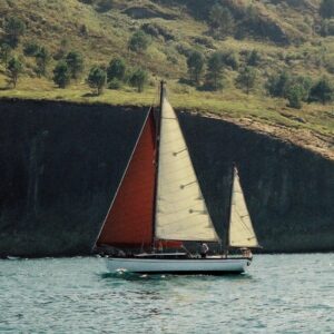 Foto de Ostarte Sailing en Donostia-San Sebastián - Imagen 7