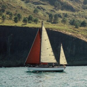 Foto de Ostarte Sailing en Donostia-San Sebastián - Imagen 6