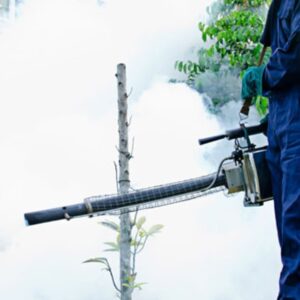 Foto de Irabia Control de Plagas en Astigarraga - Imagen 1