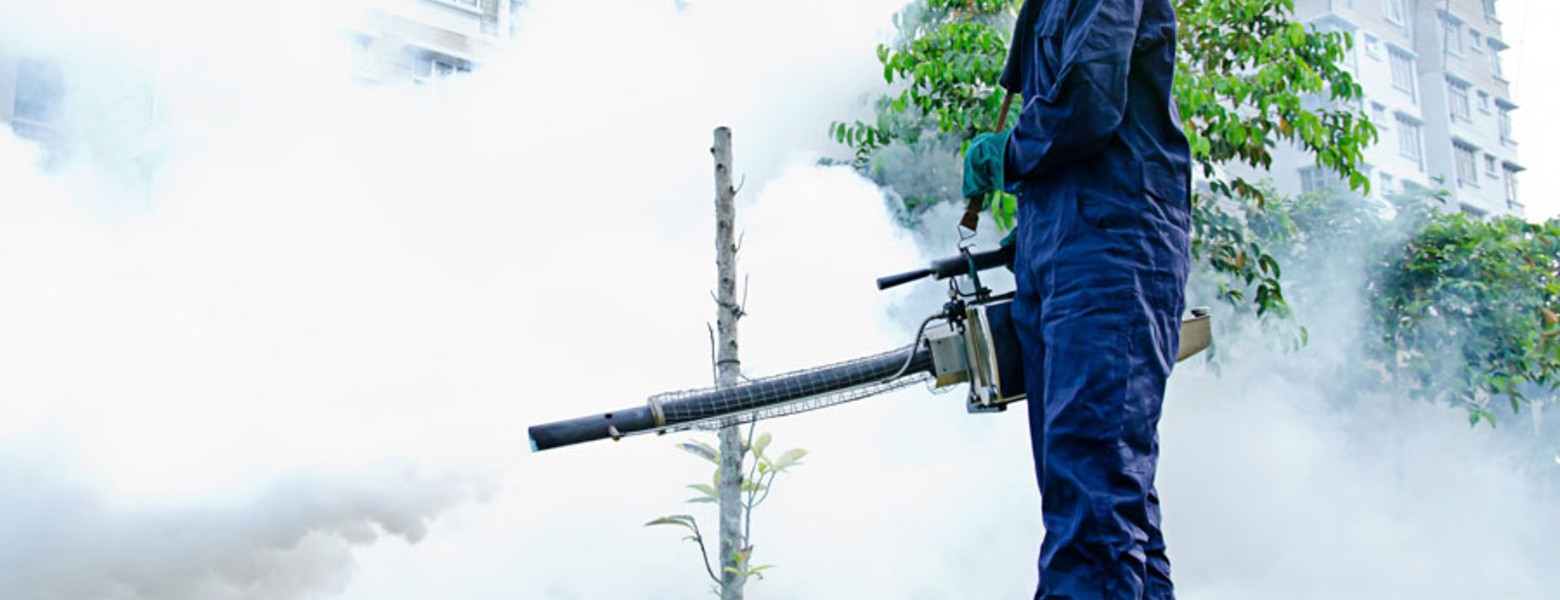 Foto de Irabia Control de Plagas en Astigarraga - Imagen 1