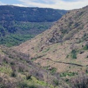 Foto de Bosques Sostenibles España en Santander - Imagen 2
