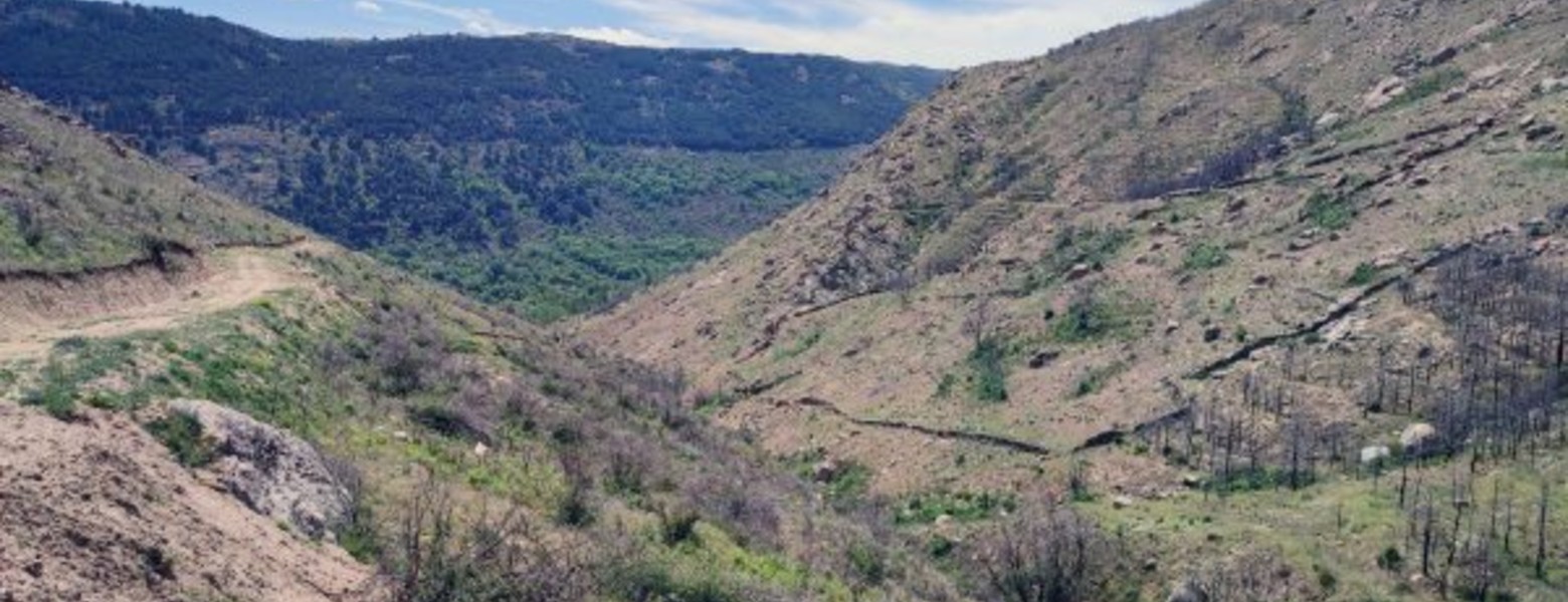 Foto de Bosques Sostenibles España en Santander - Imagen 2