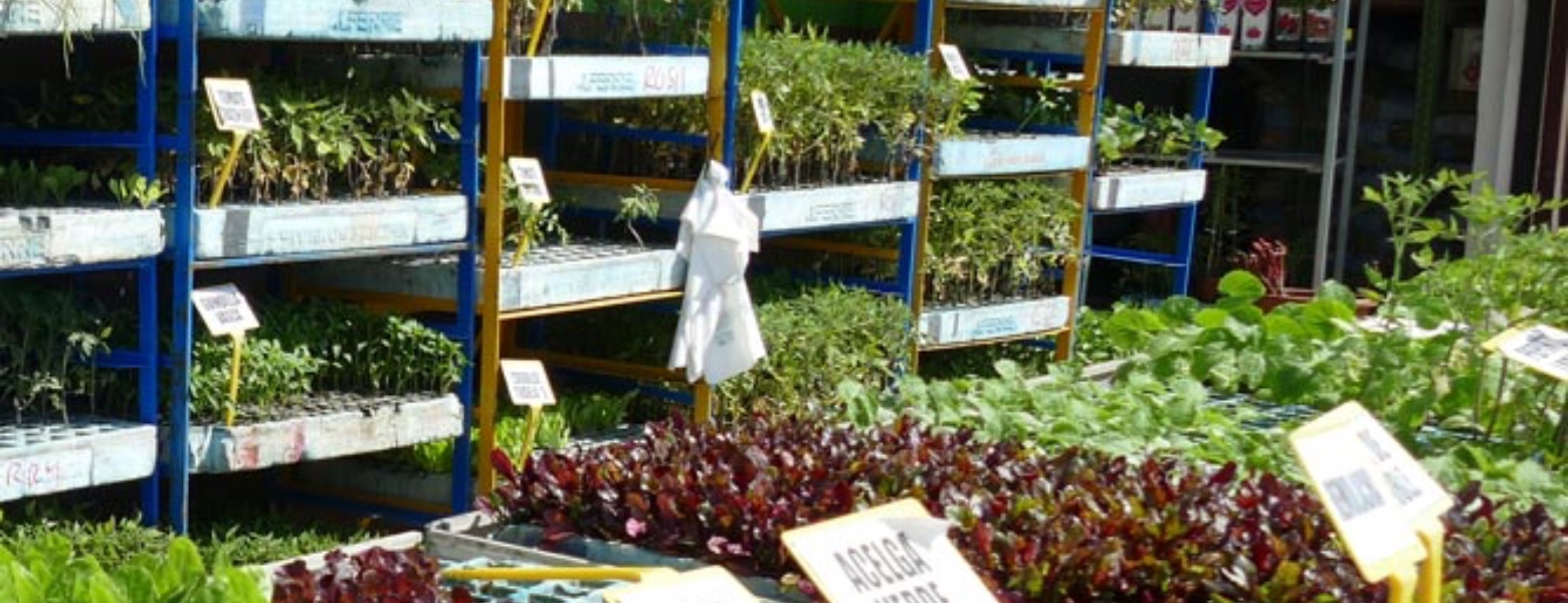 Foto de Suministros Eiza en Estella - Imagen 6