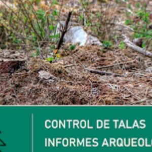 Foto de AXA ARQUEOLOXÍA en Ferrol - Imagen 3