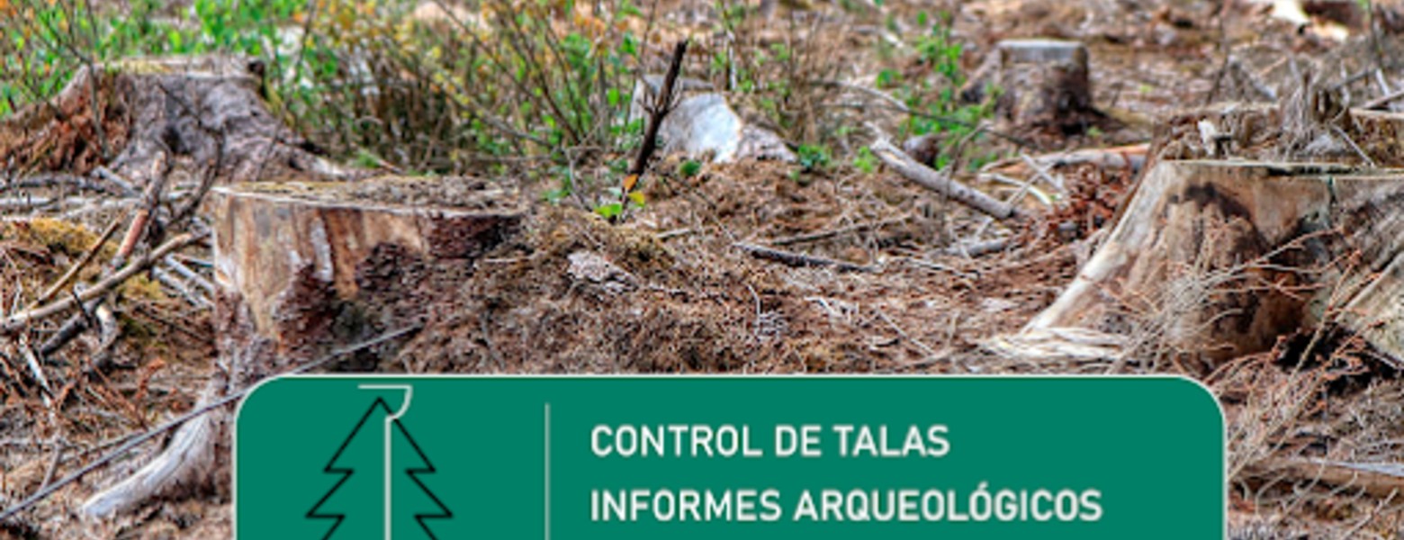 Foto de AXA ARQUEOLOXÍA en Ferrol - Imagen 3