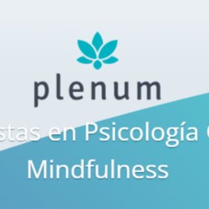 Foto de Plenum Psicología y Mindfulness en Granada - Imagen 2