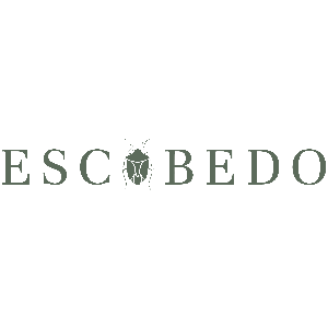 Logo de Escobedo Shoes