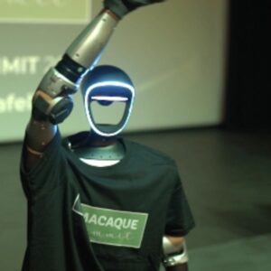 Foto de Macaque Consulting en Calafell - Imagen 2