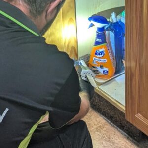 Foto de TECNOSAN Control de Plagas en Elx - Imagen 5