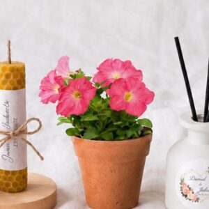 Foto de Regalas Original - Regalos personalizados en Fuente Álamo - Imagen 6