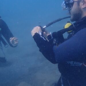 Foto de ViveBuceo - Escuela de buceo en La Herradura en Almuñécar - Imagen 4