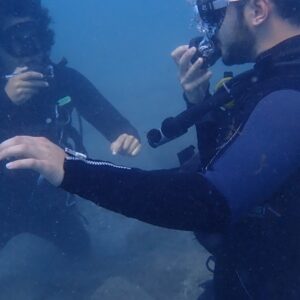 Foto de ViveBuceo - Escuela de buceo en La Herradura en Almuñécar - Imagen 5