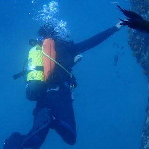 Foto de ViveBuceo - Escuela de buceo en La Herradura en Almuñécar - Imagen 6