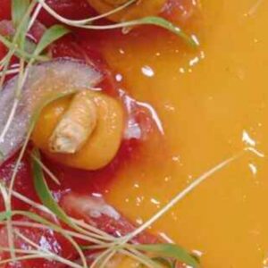 Foto de Rojo Fino | Restaurante en Jerez de la Frontera en Jerez de la Frontera - Imagen 2
