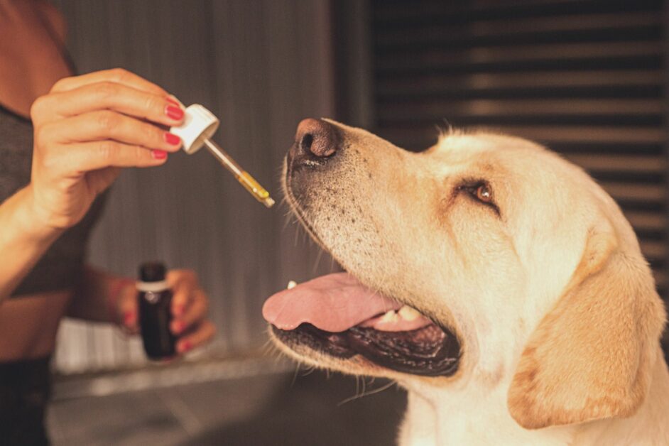 Imagen de Peludos CBD
