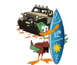 Deltanatur - Servicio de alquiler de kayaks y canoas Deltanatur - Servicio de alquiler de kayaks y canoas