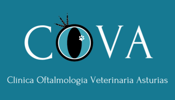 Clínica oftalmología veterinaria Asturias - Clínica Clínica oftalmología veterinaria Asturias - Clínica