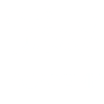 Academia The Bridge