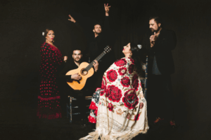 Casa Ana Flamenco SL - Escuela de flamenco Casa Ana Flamenco SL - Escuela de flamenco