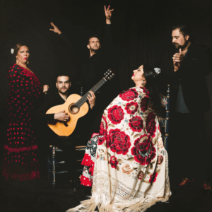 Foto de Casa Ana Flamenco SL en Granada - Imagen 1