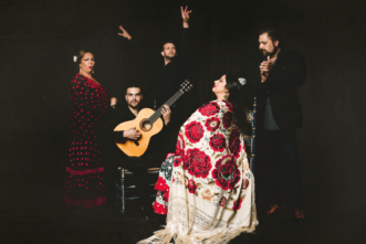 Casa Ana Flamenco SL - Escuela de flamenco Casa Ana Flamenco SL - Escuela de flamenco