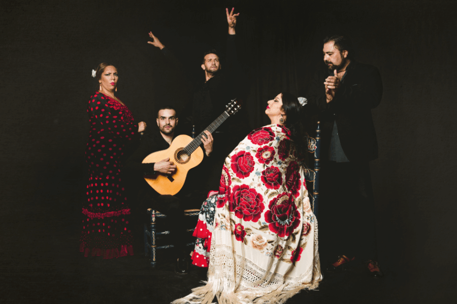 Casa Ana Flamenco SL