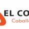 Tienda de petardos Valencia El Coet - Espectáculo en Paterna Tienda de petardos Valencia El Coet - Espectáculo en Paterna