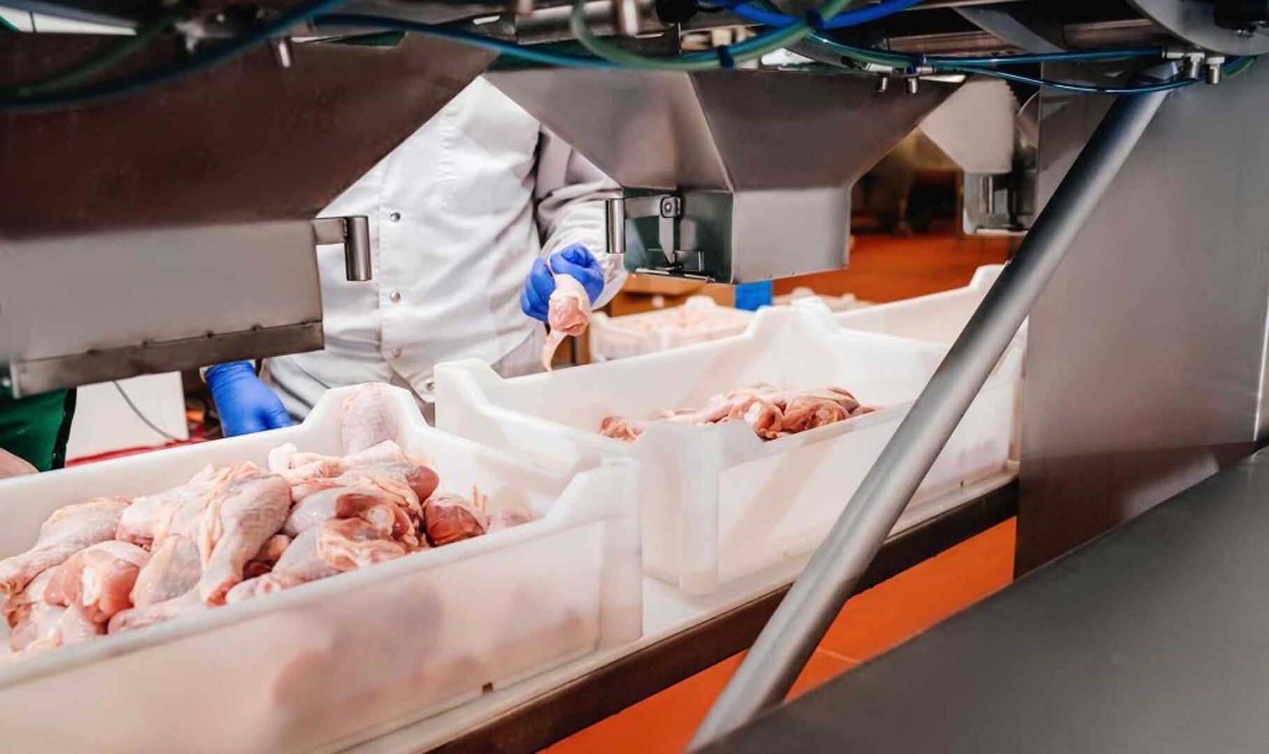 Imagen de MRT CÀRNIQUES SL MRT CÀRNIQUES SL