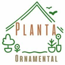 Planta ornamental - Vivero en Almería Planta ornamental - Vivero en Almería