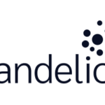 Dandelion Marketing Digital Dandelion Marketing Digital