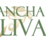 Mancha Oliva SL - Empresa en España Mancha Oliva SL - Empresa en España
