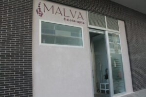 Malva fisioterapia - Clínica de fisioterapia en Zaragoza Malva fisioterapia - Clínica de fisioterapia en Zaragoza