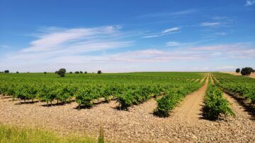 Agrarias Manchegas S.L. - Agricultura en Madrid Agrarias Manchegas S.L. - Agricultura en Madrid