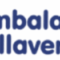 Embalajes Villaverde SL - Empresa de embalaje en Talavera de la reina Embalajes Villaverde SL - Empresa de embalaje en Talavera de la reina