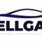 Recambios Pellgar - Concesionario Ford en Bellreguart Recambios Pellgar - Concesionario Ford en Bellreguart