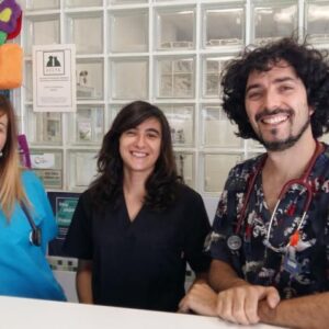 Foto de Centro Veterinario Sotivet SL en Ávila - Imagen 1