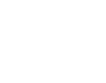 The Bey The Bey