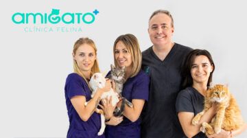 Formación Amigato - Tienda de productos para mascotas en Murcia Formación Amigato - Tienda de productos para mascotas en Murcia