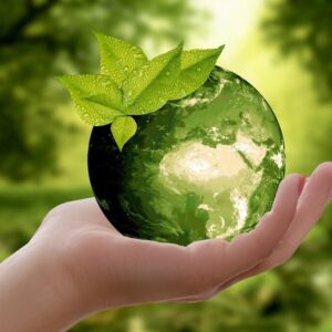 Foto de EXPERTOS EN AHORRO ENERGÉTICO, S.L. en Elx - Imagen 1