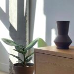 DAM studio / Arquitectura e Interiorismo - Arquitecto en Caudete-albacete DAM studio / Arquitectura e Interiorismo - Arquitecto en Caudete-albacete