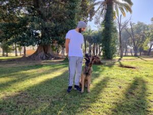 Eyracan Adiestramiento Canino | Luis Rodríguez - Adiestrador canino en Jerez de la Frontera Eyracan Adiestramiento Canino | Luis Rodríguez - Adiestrador canino en Jerez de la Frontera