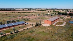 Yeguada Palacio de Villafruela - Agricultura en Perales Yeguada Palacio de Villafruela - Agricultura en Perales
