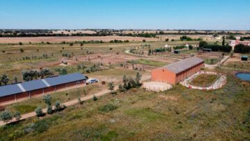 Yeguada Palacio de Villafruela - Agricultura en Perales Yeguada Palacio de Villafruela - Agricultura en Perales